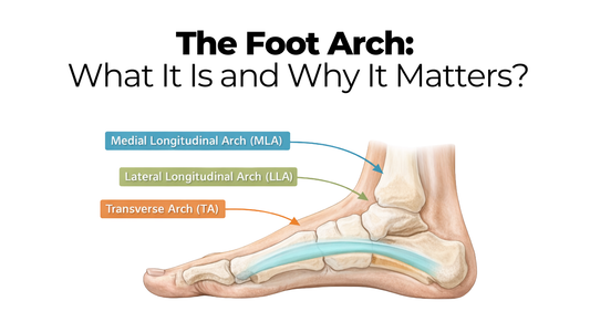 Foot Arch Explained
