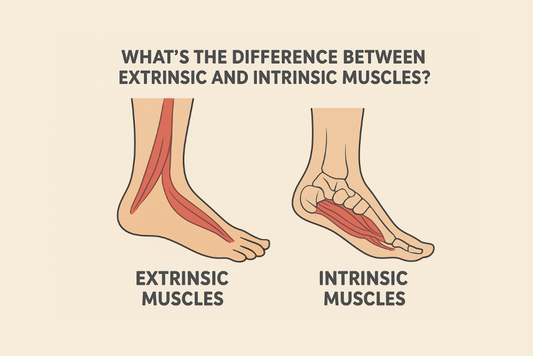 What's the difference between extrinsic and intrinsic foot muscles?